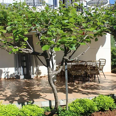 Marin Apartment